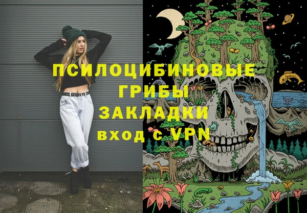 спайс Алексин