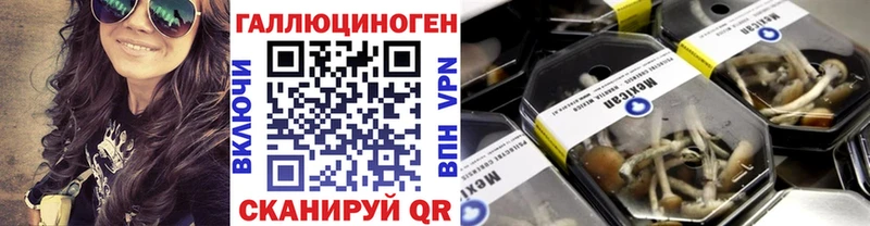 Псилоцибиновые грибы MAGIC MUSHROOMS  Заводоуковск 