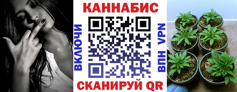 как найти закладки  Заводоуковск  Бошки Шишки Bruce Banner 